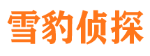 格尔木市调查公司